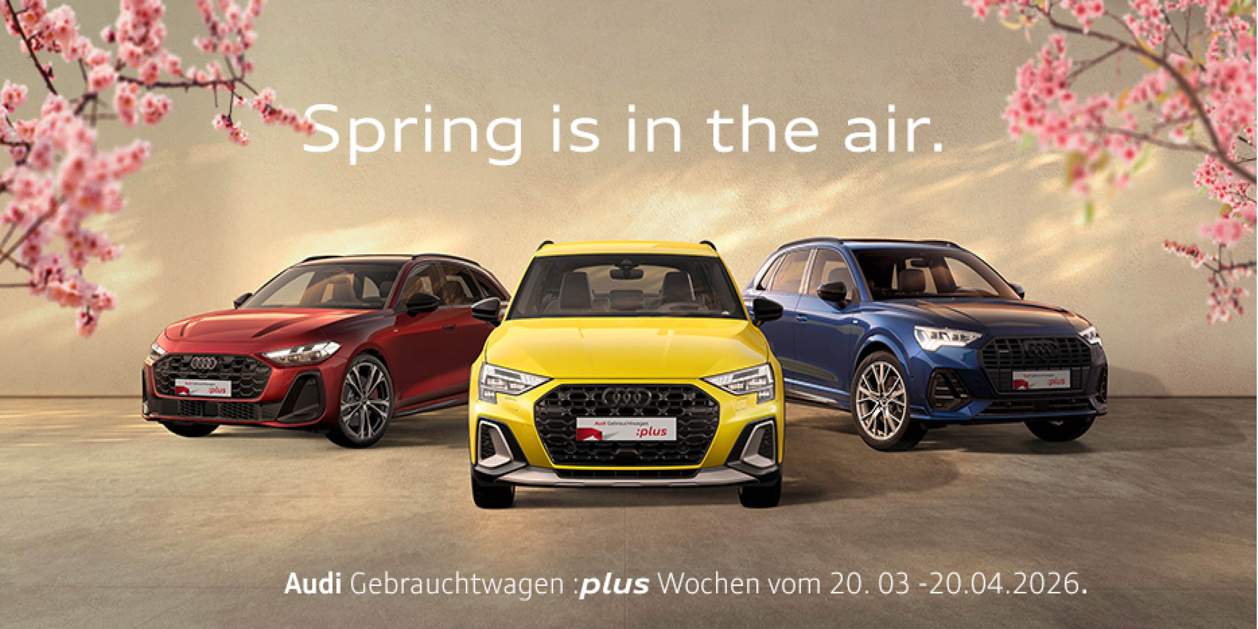 Audi Gebrauchtwagen :plus - Spring is in the air.